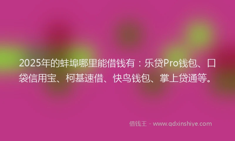 2025年的蚌埠哪里能借钱有：乐贷Pro钱包、口袋信用宝、柯基速借、快鸟钱包、掌上贷通等。