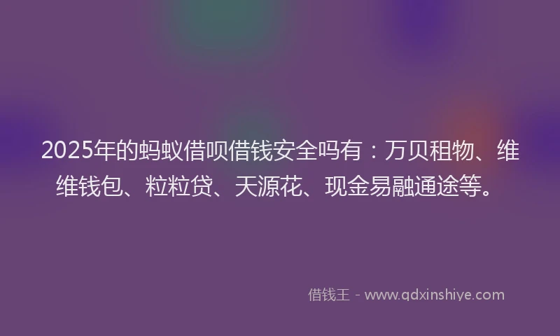 2025年的蚂蚁借呗借钱安全吗有：万贝租物、维维钱包、粒粒贷、天源花、现金易融通途等。