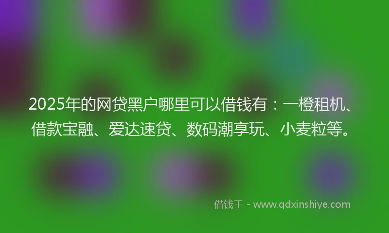 2025年的网贷黑户哪里可以借钱有：一橙租机、借款宝融、爱达速贷、数码潮享玩、小麦粒等。