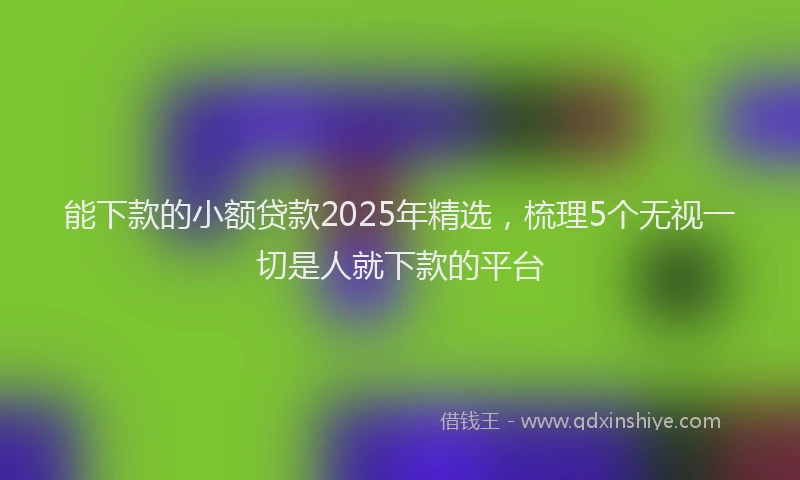能下款的小额贷款2025年精选，梳理5个无视一切是人就下款的平台
