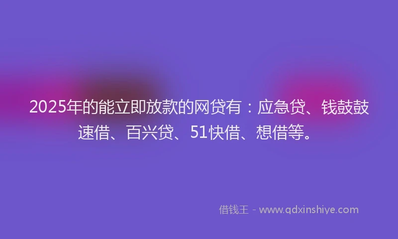 2025年的能立即放款的网贷有：应急贷、钱鼓鼓速借、百兴贷、51快借、想借等。
