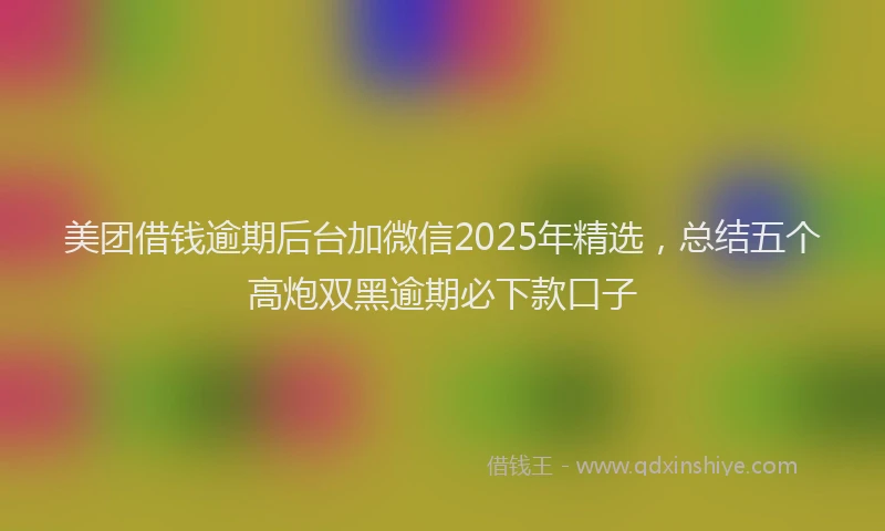 美团借钱逾期后台加微信2025年精选，总结五个高炮双黑逾期必下款口子