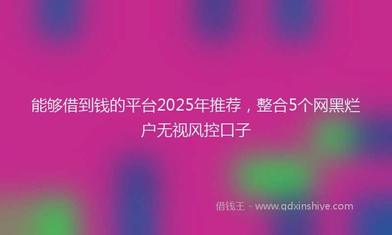 能够借到钱的平台2025年推荐，整合5个网黑烂户无视风控口子