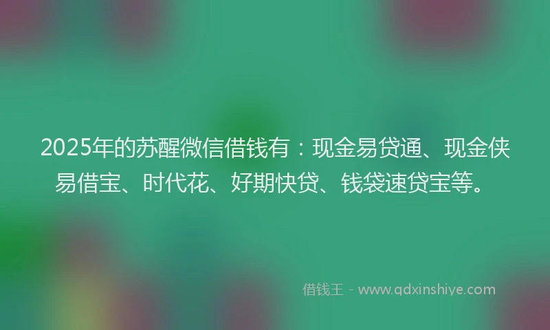 2025年的苏醒微信借钱有：现金易贷通、现金侠易借宝、时代花、好期快贷、钱袋速贷宝等。