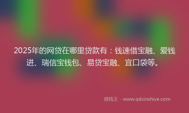 2025年的网贷在哪里贷款有：钱速借宝融、爱钱进、瑞信宝钱包、易贷宝融、宜口袋等。