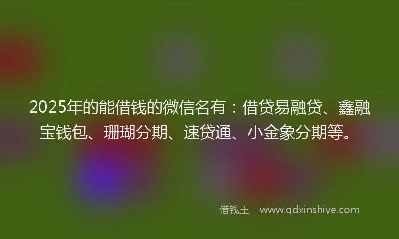 2025年的能借钱的微信名有：借贷易融贷、鑫融宝钱包、珊瑚分期、速贷通、小金象分期等。