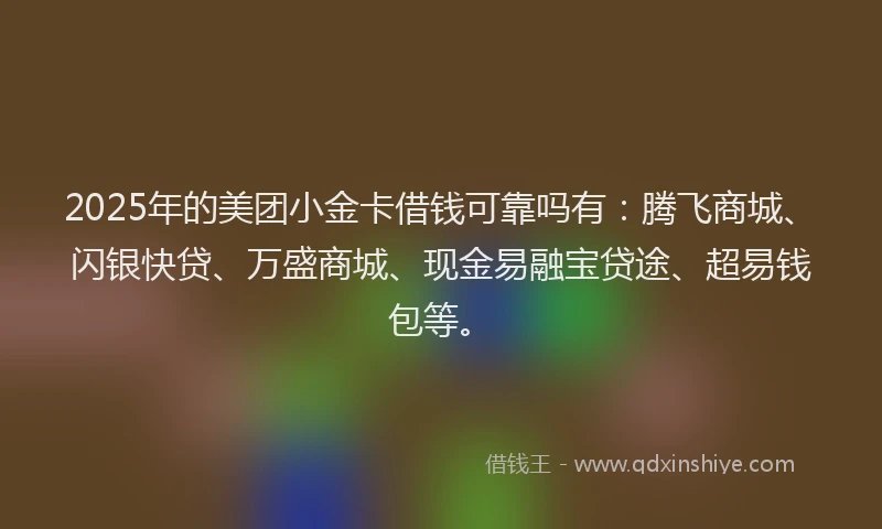 2025年的美团小金卡借钱可靠吗有：腾飞商城、闪银快贷、万盛商城、现金易融宝贷途、超易钱包等。