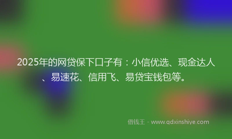2025年的网贷保下口子有：小信优选、现金达人、易速花、信用飞、易贷宝钱包等。