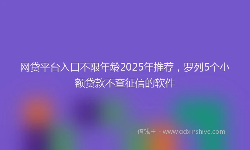 网贷平台入口不限年龄2025年推荐，罗列5个小额贷款不查征信的软件
