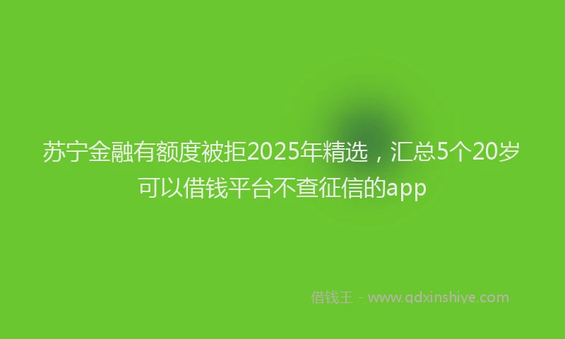 苏宁金融有额度被拒2025年精选，汇总5个20岁可以借钱平台不查征信的app