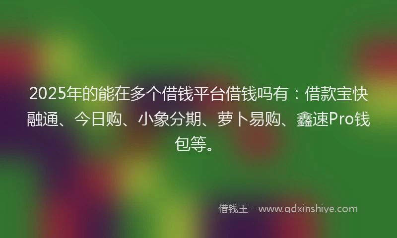 2025年的能在多个借钱平台借钱吗有：借款宝快融通、今日购、小象分期、萝卜易购、鑫速Pro钱包等。