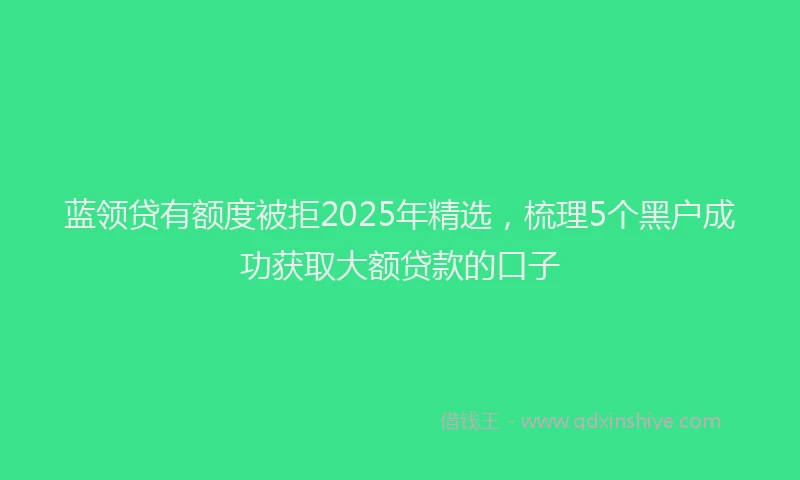蓝领贷有额度被拒2025年精选，梳理5个黑户成功获取大额贷款的口子