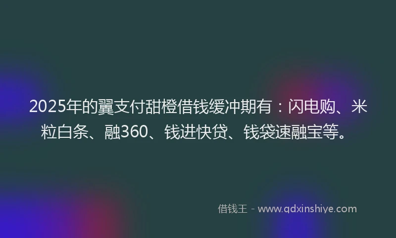 2025年的翼支付甜橙借钱缓冲期有：闪电购、米粒白条、融360、钱进快贷、钱袋速融宝等。