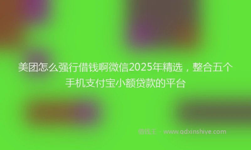 美团怎么强行借钱啊微信2025年精选，整合五个手机支付宝小额贷款的平台