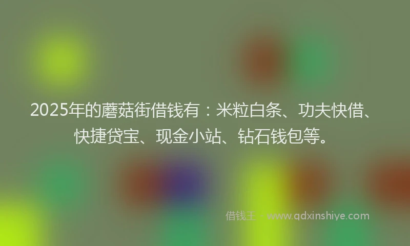 2025年的蘑菇街借钱有：米粒白条、功夫快借、快捷贷宝、现金小站、钻石钱包等。