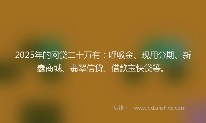2025年的网贷二十万有：呼吸金、现用分期、新鑫商城、翡翠信贷、借款宝快贷等。