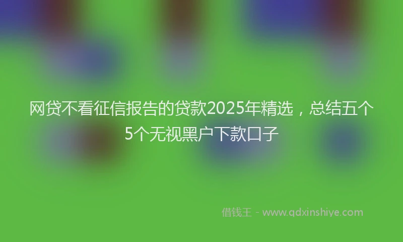 网贷不看征信报告的贷款2025年精选，总结五个5个无视黑户下款口子
