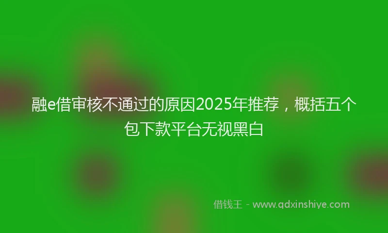 融e借审核不通过的原因2025年推荐，概括五个包下款平台无视黑白