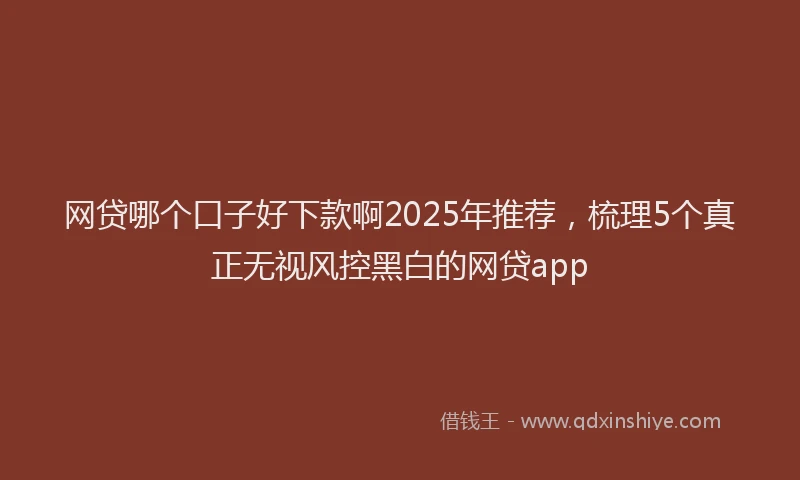 网贷哪个口子好下款啊2025年推荐，梳理5个真正无视风控黑白的网贷app