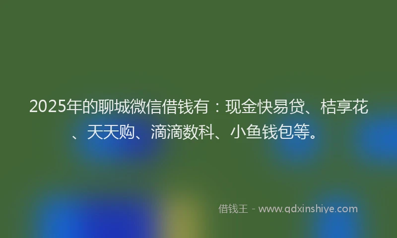 2025年的聊城微信借钱有：现金快易贷、桔享花、天天购、滴滴数科、小鱼钱包等。
