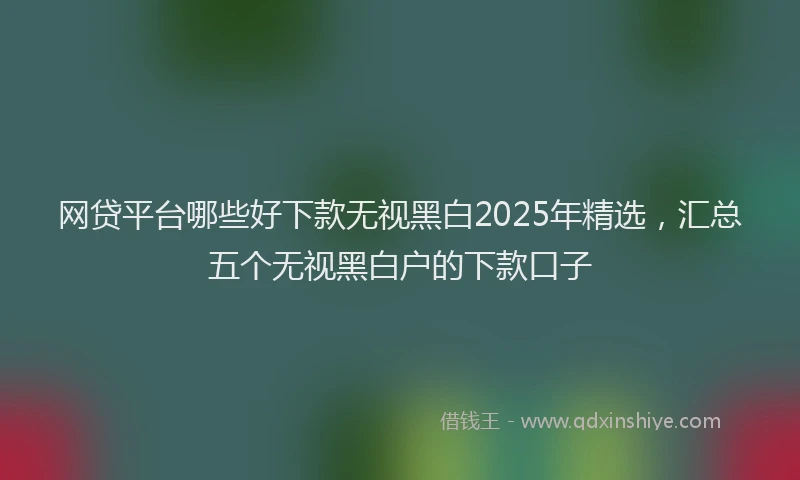 网贷平台哪些好下款无视黑白2025年精选，汇总五个无视黑白户的下款口子