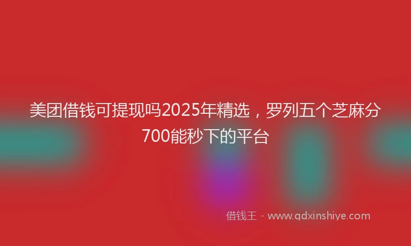 美团借钱可提现吗2025年精选，罗列五个芝麻分700能秒下的平台