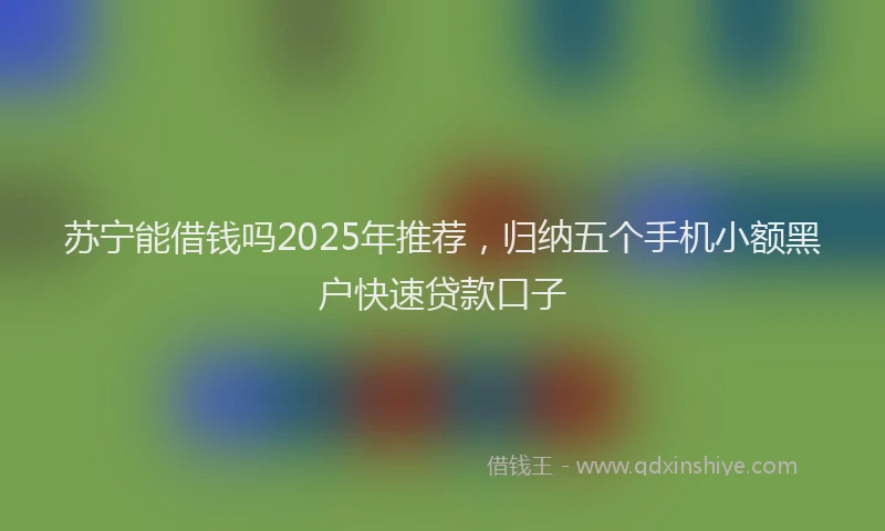 苏宁能借钱吗2025年推荐，归纳五个手机小额黑户快速贷款口子