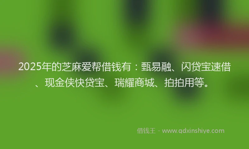 2025年的芝麻爱帮借钱有：甄易融、闪贷宝速借、现金侠快贷宝、瑞耀商城、拍拍用等。