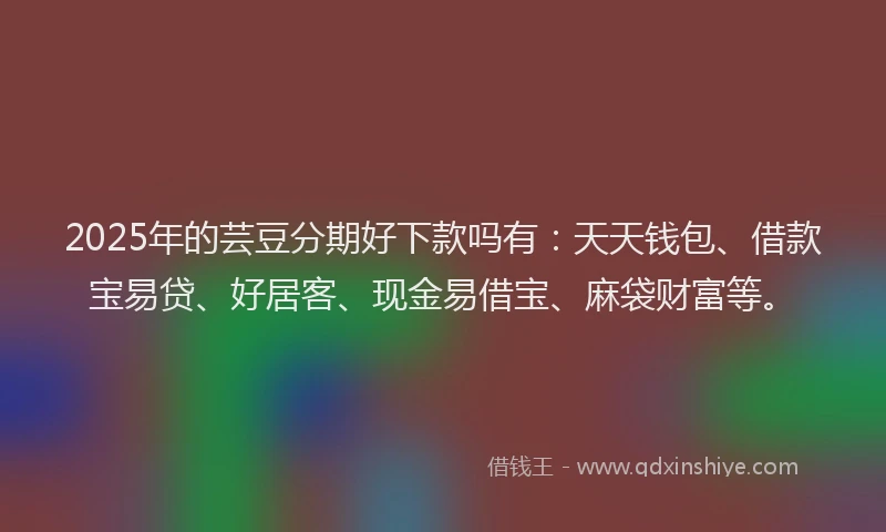 2025年的芸豆分期好下款吗有：天天钱包、借款宝易贷、好居客、现金易借宝、麻袋财富等。