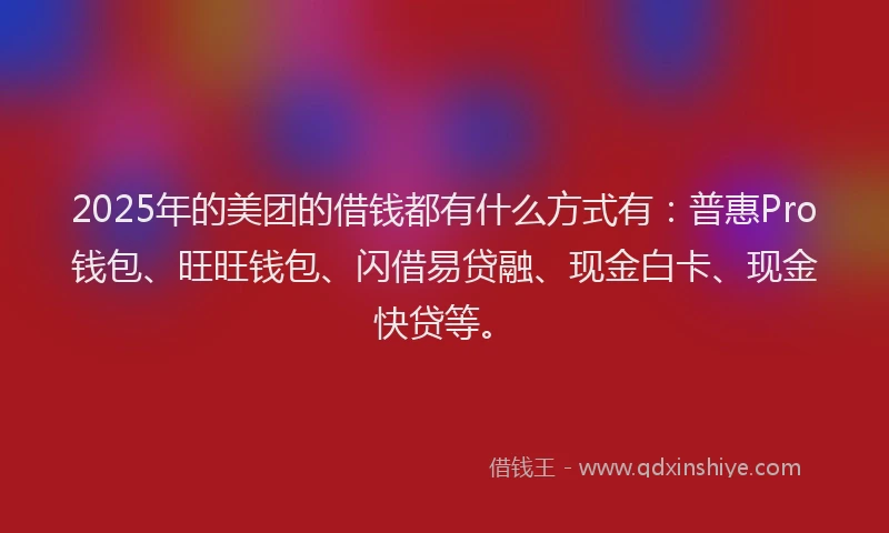 2025年的美团的借钱都有什么方式有：普惠Pro钱包、旺旺钱包、闪借易贷融、现金白卡、现金快贷等。
