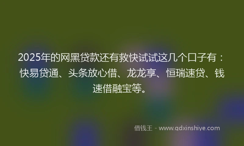 2025年的网黑贷款还有救快试试这几个口子有：快易贷通、头条放心借、龙龙享、恒瑞速贷、钱速借融宝等。