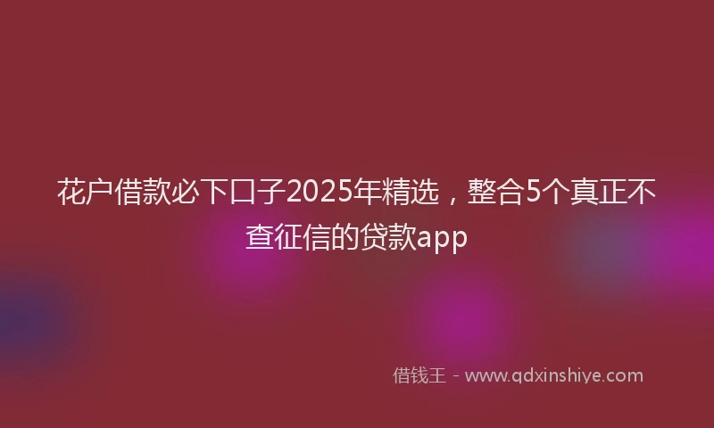 花户借款必下口子2025年精选，整合5个真正不查征信的贷款app