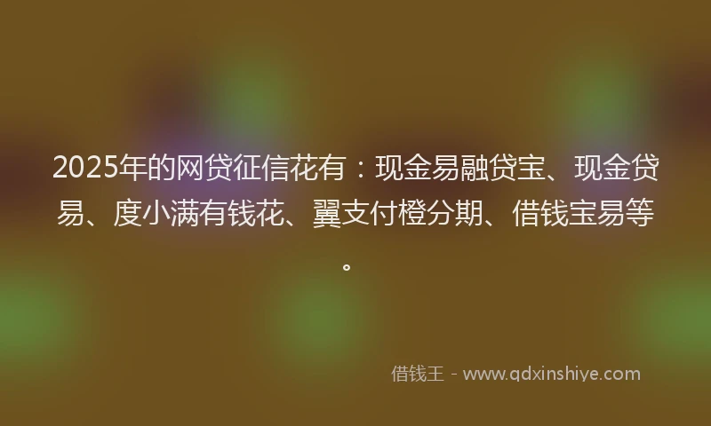 2025年的网贷征信花有：现金易融贷宝、现金贷易、度小满有钱花、翼支付橙分期、借钱宝易等。