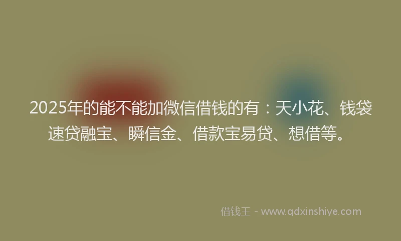 2025年的能不能加微信借钱的有：天小花、钱袋速贷融宝、瞬信金、借款宝易贷、想借等。