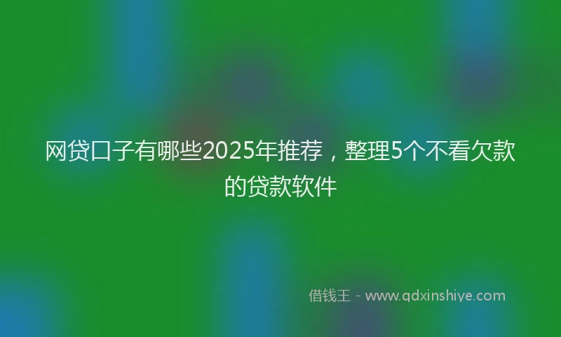 网贷口子有哪些2025年推荐，整理5个不看欠款的贷款软件