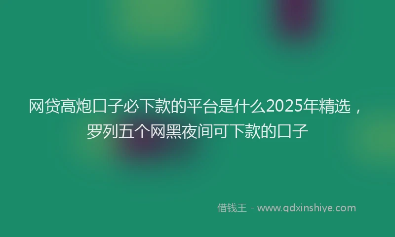 网贷高炮口子必下款的平台是什么2025年精选，罗列五个网黑夜间可下款的口子