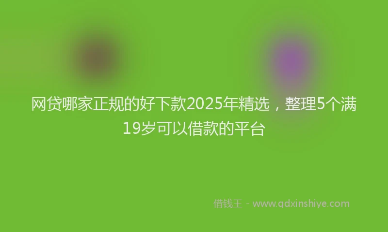 网贷哪家正规的好下款2025年精选，整理5个满19岁可以借款的平台