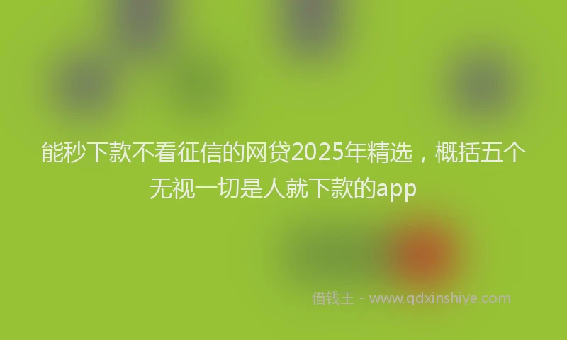 能秒下款不看征信的网贷2025年精选，概括五个无视一切是人就下款的app