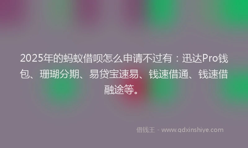 2025年的蚂蚁借呗怎么申请不过有：迅达Pro钱包、珊瑚分期、易贷宝速易、钱速借通、钱速借融途等。