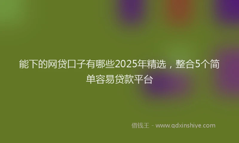 能下的网贷口子有哪些2025年精选，整合5个简单容易贷款平台