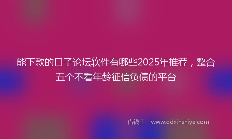 能下款的口子论坛软件有哪些2025年推荐，整合五个不看年龄征信负债的平台