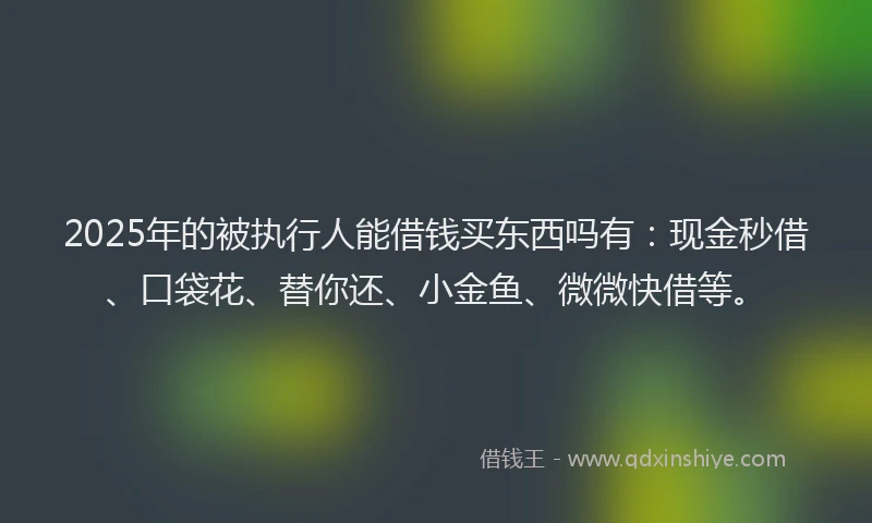 2025年的被执行人能借钱买东西吗有：现金秒借、口袋花、替你还、小金鱼、微微快借等。