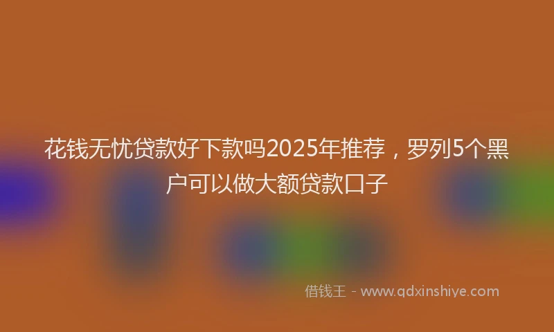 花钱无忧贷款好下款吗2025年推荐，罗列5个黑户可以做大额贷款口子
