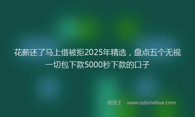 花薪还了马上借被拒2025年精选，盘点五个无视一切包下款5000秒下款的口子