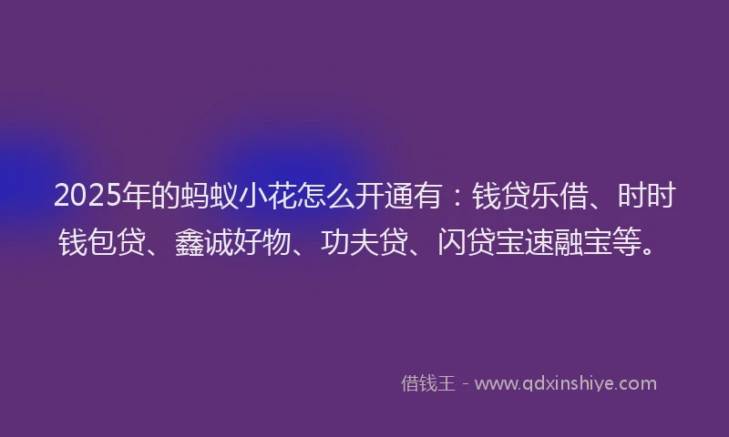 2025年的蚂蚁小花怎么开通有：钱贷乐借、时时钱包贷、鑫诚好物、功夫贷、闪贷宝速融宝等。