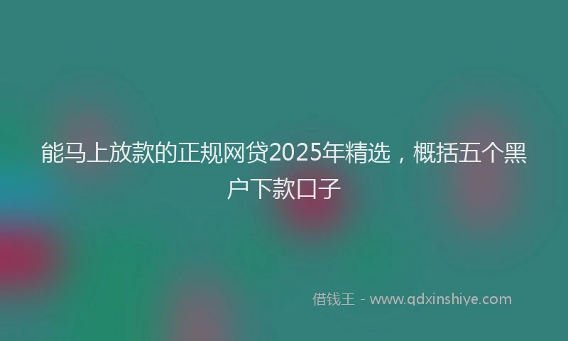 能马上放款的正规网贷2025年精选，概括五个黑户下款口子