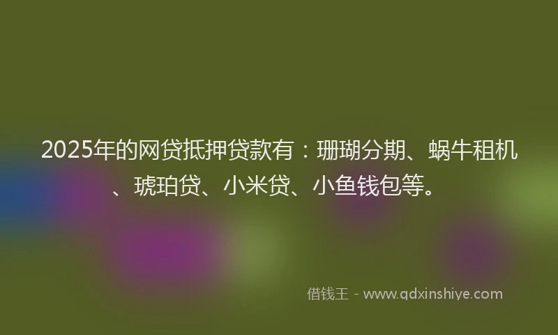 2025年的网贷抵押贷款有：珊瑚分期、蜗牛租机、琥珀贷、小米贷、小鱼钱包等。
