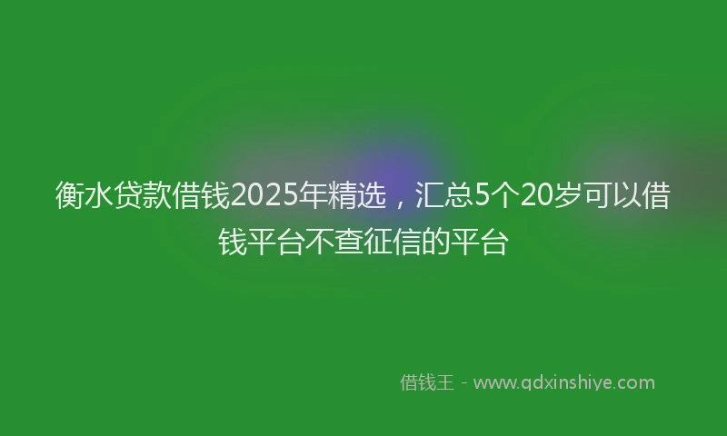 衡水贷款借钱2025年精选，汇总5个20岁可以借钱平台不查征信的平台