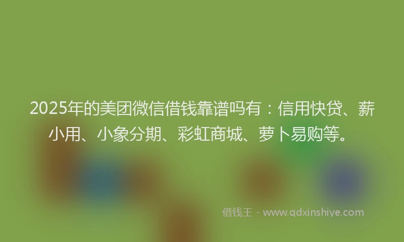 2025年的美团微信借钱靠谱吗有：信用快贷、薪小用、小象分期、彩虹商城、萝卜易购等。