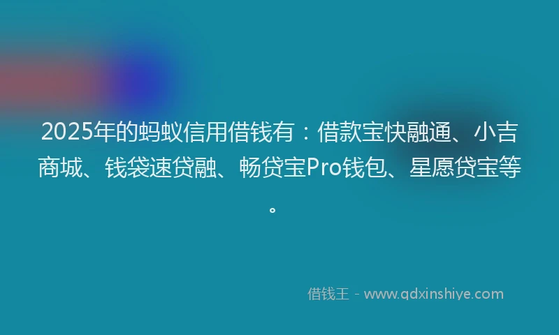 2025年的蚂蚁信用借钱有：借款宝快融通、小吉商城、钱袋速贷融、畅贷宝Pro钱包、星愿贷宝等。